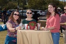 Carnival Photos 2017