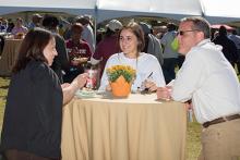 Carnival Photos 2017