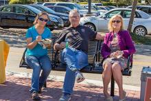 Carnival Photos 2017