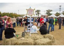  Carnival Photos 2018