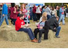  Carnival Photos 2018