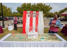  Carnival Photos 2018