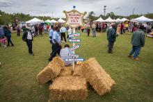 Carnival Photos 2019