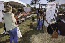 F&amp;A Appreciation Celebration 2024