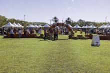 F&amp;A Appreciation Celebration 2024