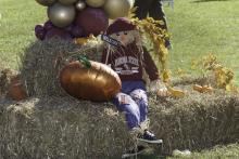 F&amp;A Appreciation Celebration 2024