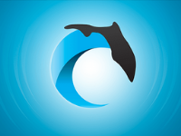 Florida Center for Interactive Media